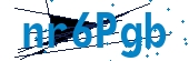 recaptcha