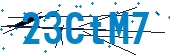 recaptcha