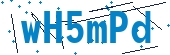 recaptcha