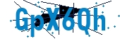 recaptcha